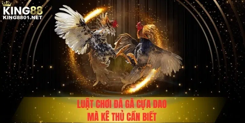 Luật chơi đá gà cựa dao kê thủ cần biết 